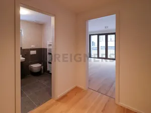 Pronájem bytu 1+kk, Brno, Bratislavská, 35 m2