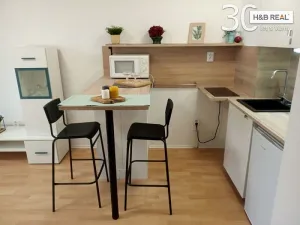 Pronájem bytu 1+kk, Přerov, 23 m2