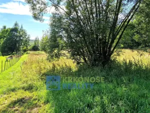 Prodej louky, Trutnov - Babí, 6930 m2