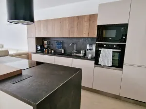 Prodej vícegeneračního domu, Pasohlávky, 320 m2