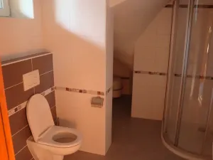 Pronájem rodinného domu, Brno, Šikova, 175 m2