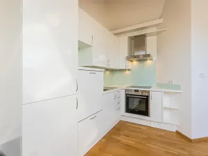 Pronájem bytu 2+kk, Praha - Vinohrady, Balbínova, 95 m2