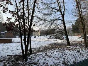 Prodej pozemku, Chlumec nad Cidlinou - Chlumec nad Cidlinou IV, Spravedlnost, 1659 m2