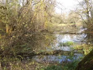 Dražba pozemku, Otrokovice, 810 m2