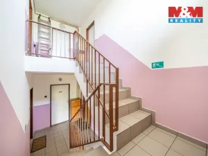 Pronájem bytu 1+1, Praskolesy, 30 m2