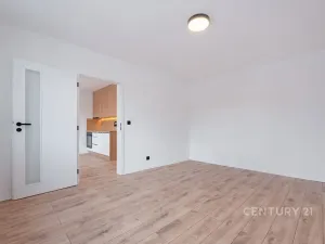 Pronájem bytu 2+kk, Litvínov, U Zámeckého parku, 35 m2