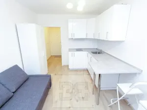 Pronájem bytu 1+kk, Praha - Krč, Budějovická, 21 m2