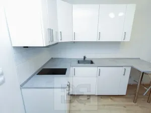 Pronájem bytu 1+kk, Praha - Krč, Budějovická, 21 m2