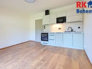 Pronájem bytu 2+kk, Přistoupim, 41 m2