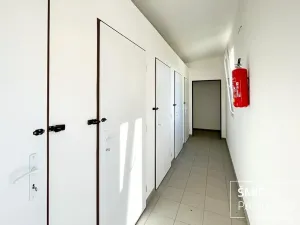 Prodej bytu 3+kk, Velim, Palackého, 66 m2