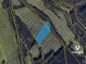 Prodej pole, Záhorovice, 9819 m2