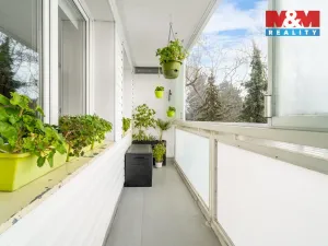 Prodej bytu 3+kk, Pardubice - Polabiny, Družstevní, 54 m2