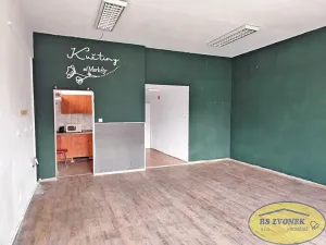 Pronájem obchodního prostoru, Olomouc, Nedvědova, 56 m2