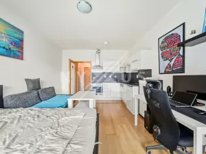 Prodej bytu 1+kk, Praha - Košíře, Pod Kavalírkou, 28 m2