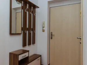 Pronájem bytu 2+1, Pardubice - Zelené Předměstí, Pichlova, 53 m2