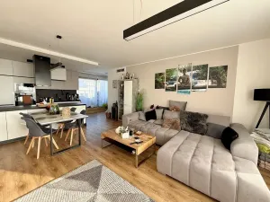 Pronájem bytu 3+kk, Brno, Kumpoštova, 152 m2