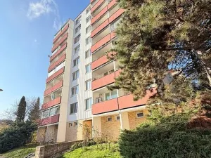 Prodej bytu 1+1, Brno - Kohoutovice, Prokofjevova, 36 m2