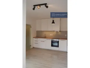 Pronájem bytu 1+kk, Brno, Rumiště, 25 m2