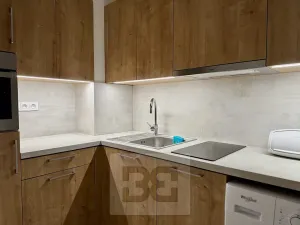 Pronájem bytu 1+kk, Brno, Husovická, 40 m2