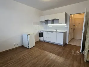 Pronájem bytu 1+1, Písek, 17. listopadu, 35 m2