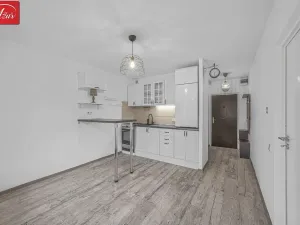 Prodej bytu 1+1, Teplice, Jankovcova, 39 m2