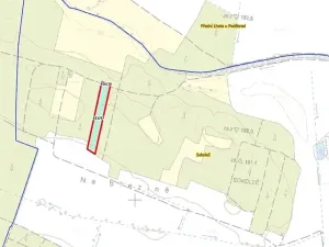 Prodej lesa, Sokoleč, 9084 m2