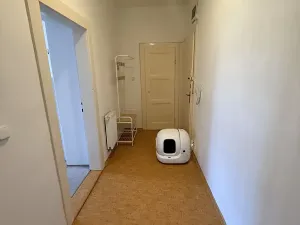 Pronájem bytu 2+kk, Praha - Břevnov, Bělohorská, 54 m2