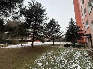 Pronájem pokoje, Olomouc, Přichystalova, 65 m2