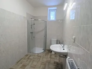 Pronájem bytu 2+kk, Peruc, U Koupaliště, 59 m2