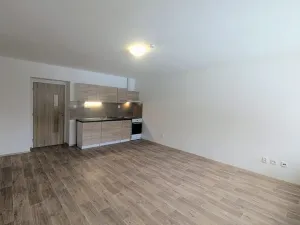 Pronájem bytu 2+kk, Peruc, U Koupaliště, 59 m2