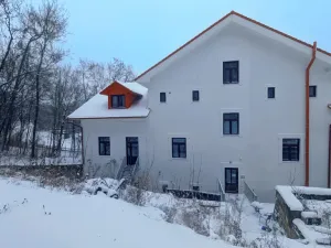 Pronájem bytu 2+kk, Peruc, U Koupaliště, 42 m2