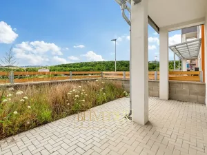 Prodej bytu 2+kk, Teplice, Albrechtova, 73 m2