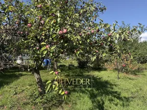 Prodej chaty, Dubí, B. Němcové, 16 m2