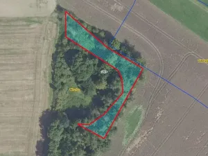 Prodej lesa, Běrunice, 1361 m2
