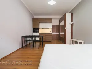 Pronájem bytu 1+kk, Praha - Holešovice, U průhonu, 22 m2