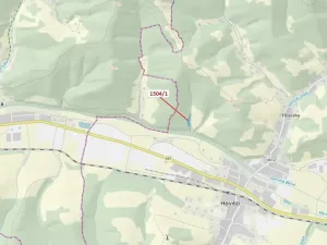 Dražba lesa, Hovězí, 2626 m2