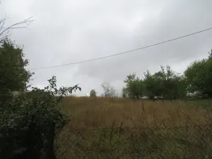 Dražba rodinného domu, Nové Syrovice, 474 m2