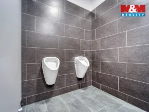 Pronájem kanceláře, Plzeň - Lobzy, Republikánská, 18 m2