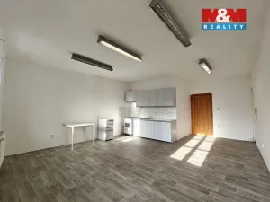 Pronájem bytu 2+kk, Opava - Město, Dolní náměstí, 94 m2