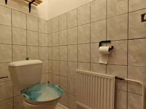 Pronájem bytu 2+kk, Opava - Město, Dolní náměstí, 94 m2