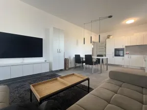 Pronájem bytu 2+kk, Želešice, Sádky, 53 m2