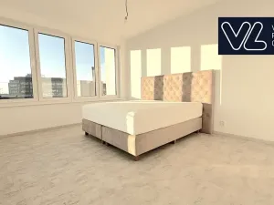 Prodej bytu 5+kk, Brno, Křenová, 267 m2