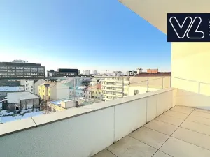 Prodej bytu 5+kk, Brno, Křenová, 267 m2