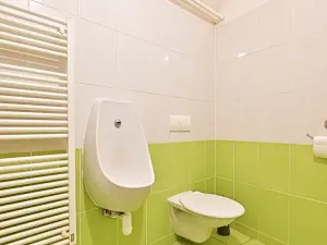 Prodej obchodního prostoru, Cetkovice, Velká Strana, 420 m2