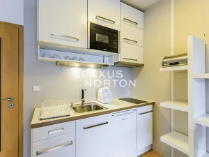 Pronájem bytu 1+kk, Praha - Smíchov, Jeřabinová, 33 m2