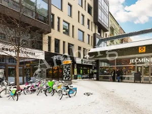 Pronájem bytu 1+kk, Praha - Karlín, Křižíkova, 32 m2