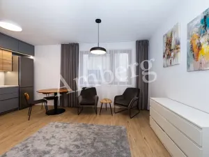 Pronájem bytu 1+kk, Praha - Karlín, Křižíkova, 32 m2