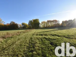 Prodej pozemku pro bydlení, Nová Role, 43224 m2