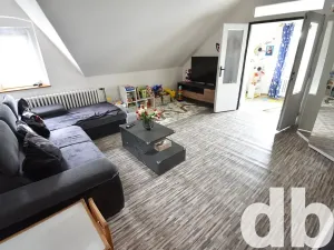 Prodej vícegeneračního domu, Karlovy Vary, K Přehradě, 568 m2