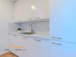 Prodej bytu 3+kk, Praha - Braník, Novodvorská, 68 m2